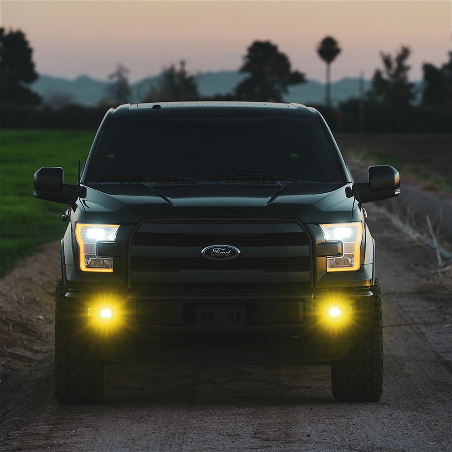 50482-D-Series_SAE_Fog_YellowWhite_Pair-Lifestyle-02.jpg
