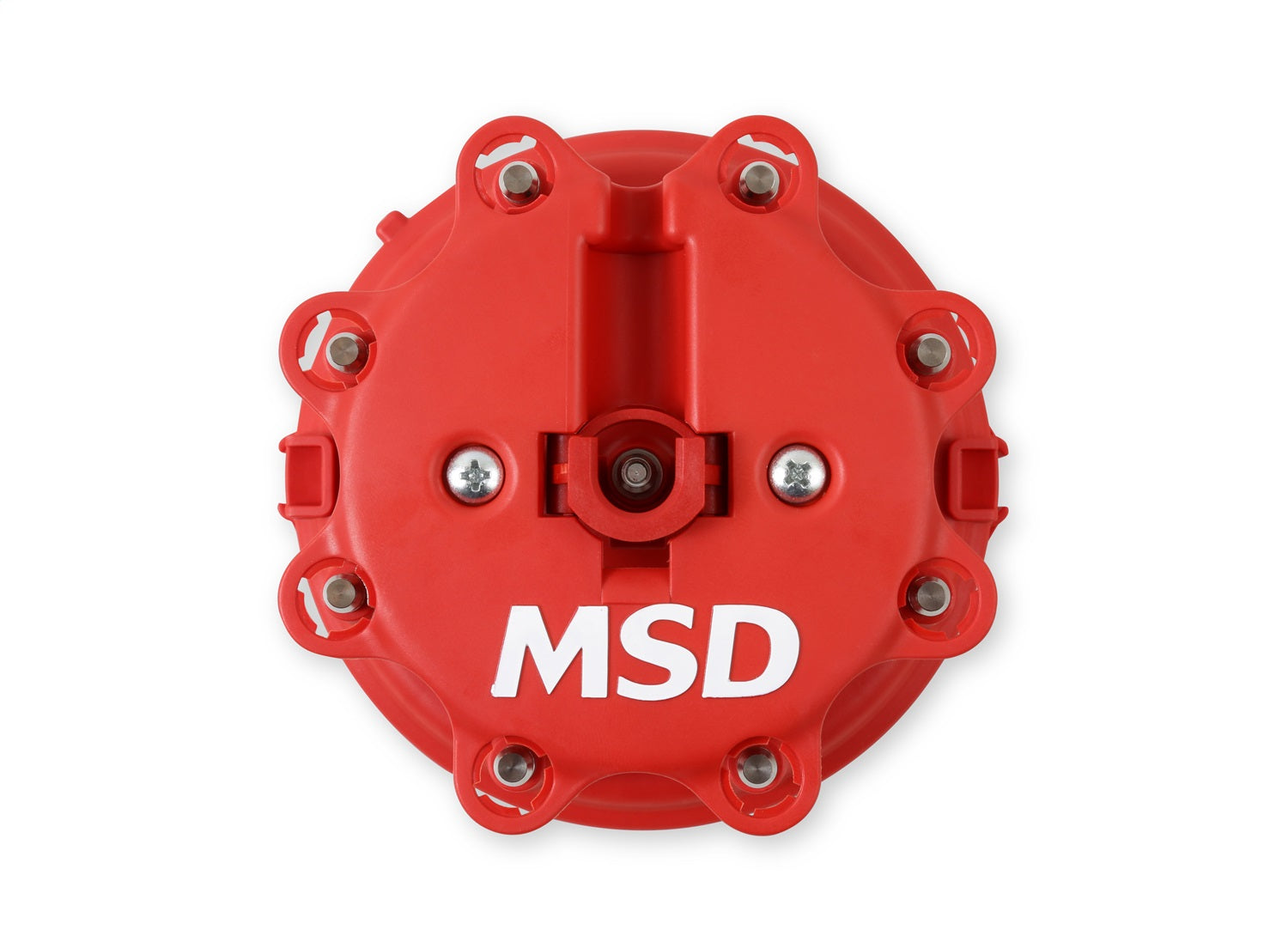 8482_04.jpg