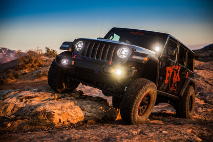 fox-stock-photo-jeep-jl-b.jpg